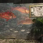 Ai Piedi Della Pigna Sanremo