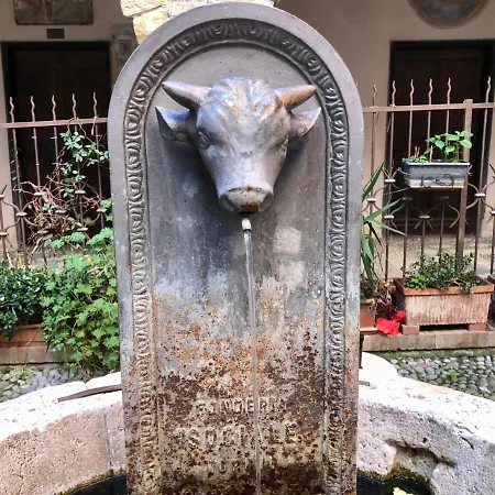 Ai Piedi Della Pigna Sanremo