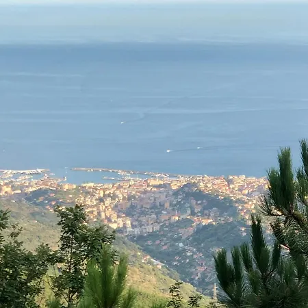 Ai Piedi Della Pigna Lejlighed Sanremo