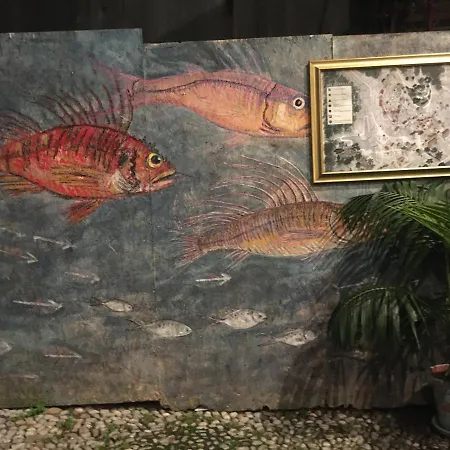 Ai Piedi Della Pigna San Remo