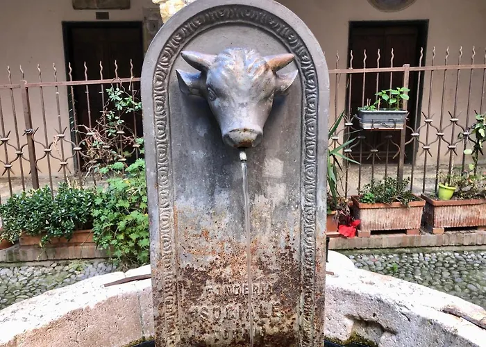 Ai Piedi Della Pigna Sanremo